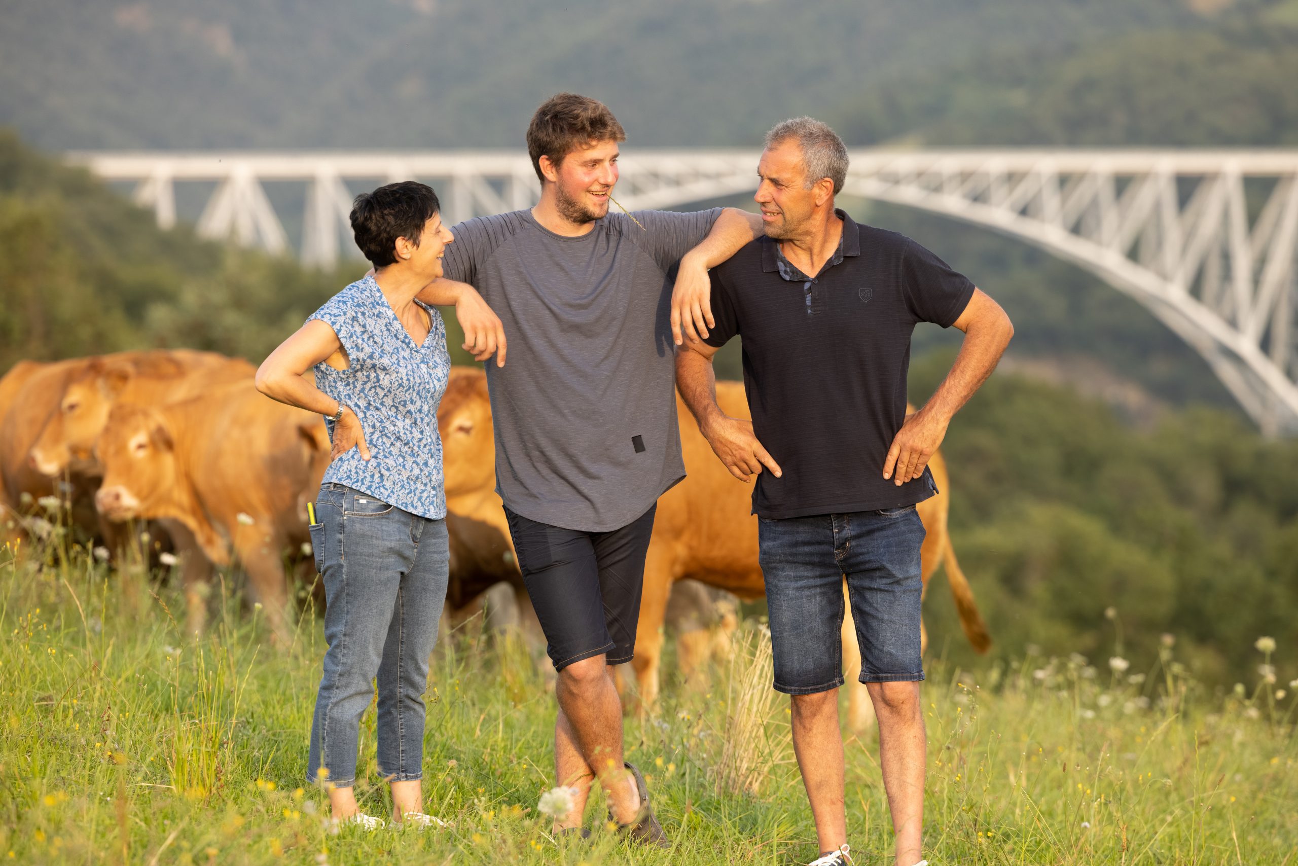 Elevage de viande bovine de qualité