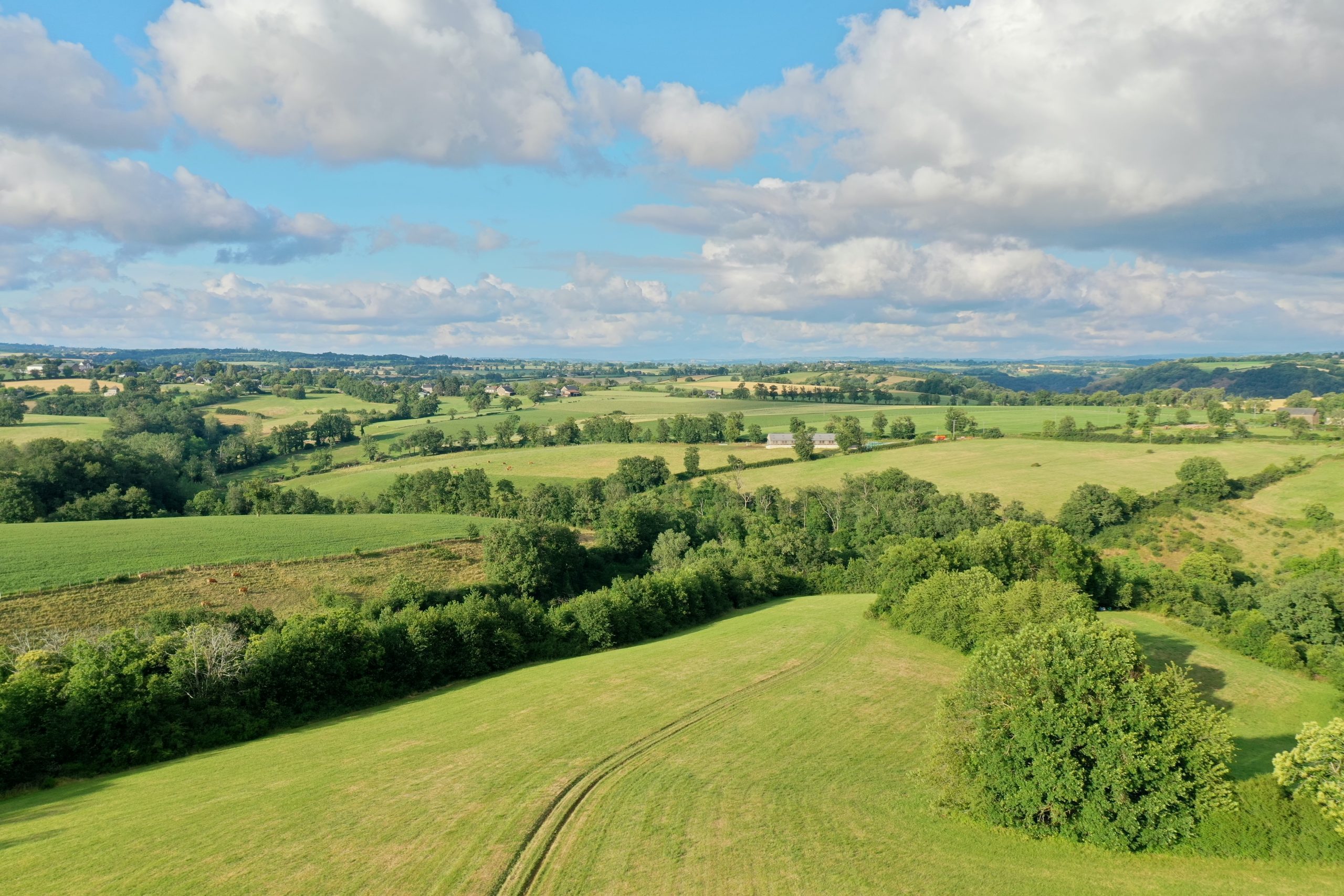 Champs à perte de vue