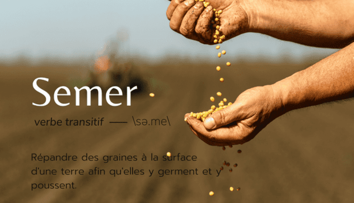 Définition de semer
