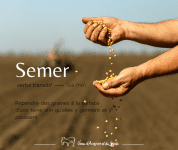 Définition de semer